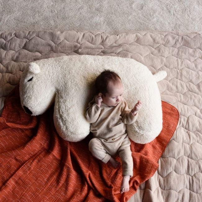 כרית דב קוטב