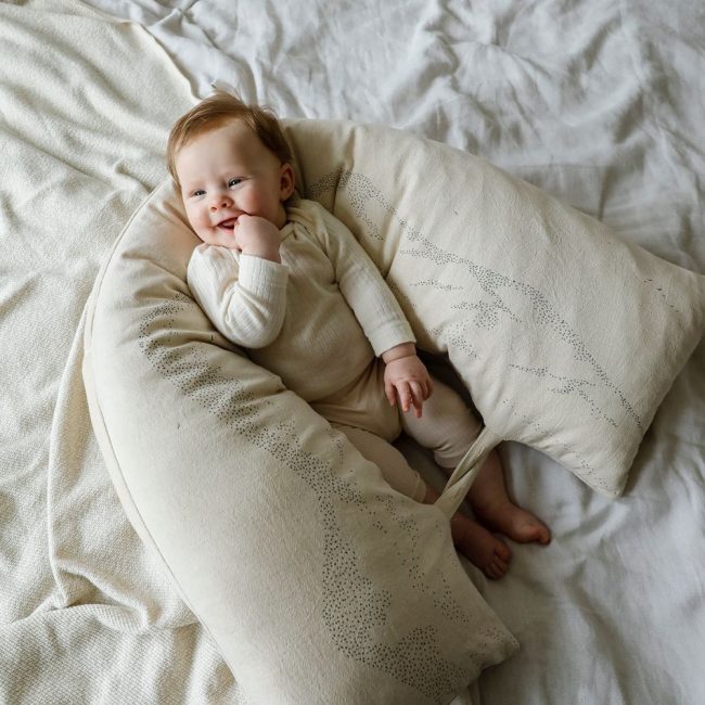 כרית הרים וציפורים