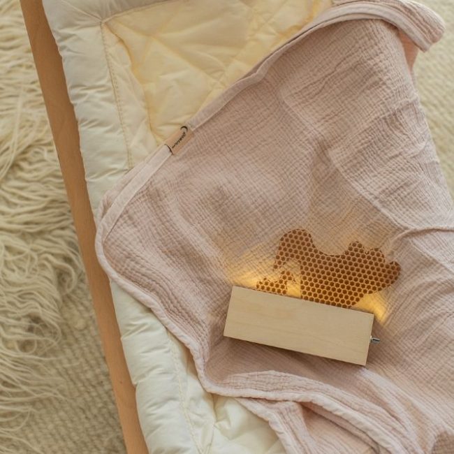 מארז לידה ציפורים