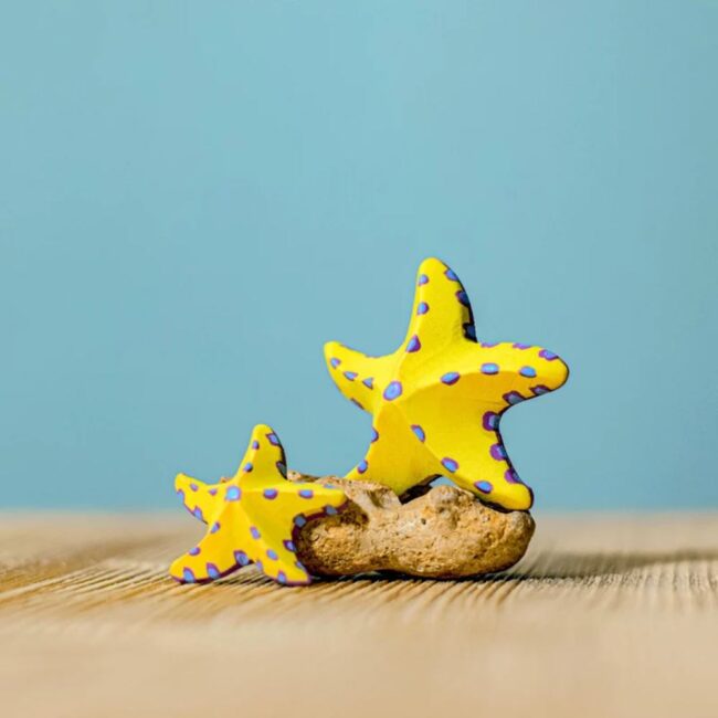 כוכבי ים צהובים -Bumbu