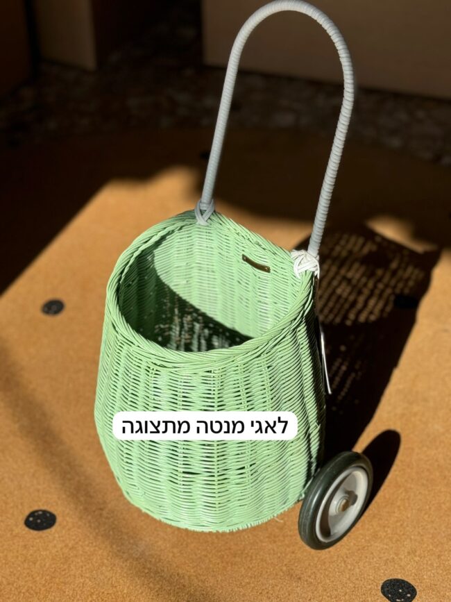 מכירת סמפלים יוני – לאגי מנטה