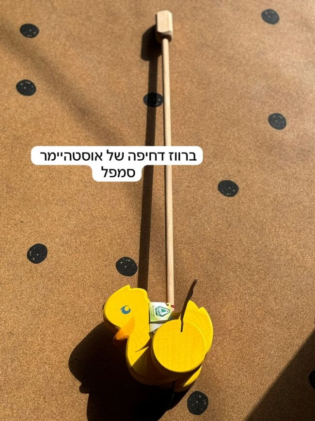 מכירת סמפלים יוני – ברווז דחיפה של אוסטהיימר