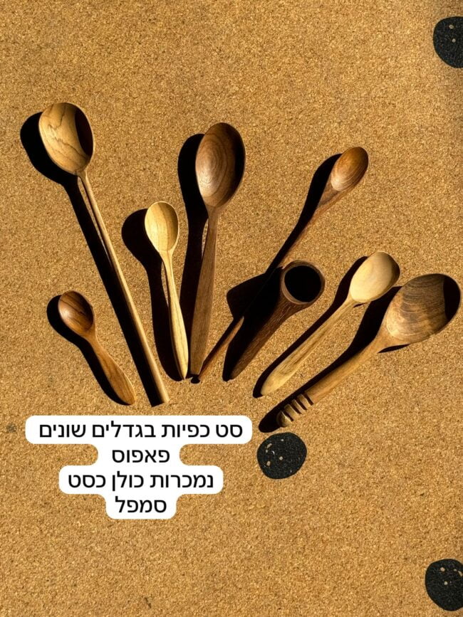 מכירת סמפלים יוני – סט כפיות עץ מגוונות