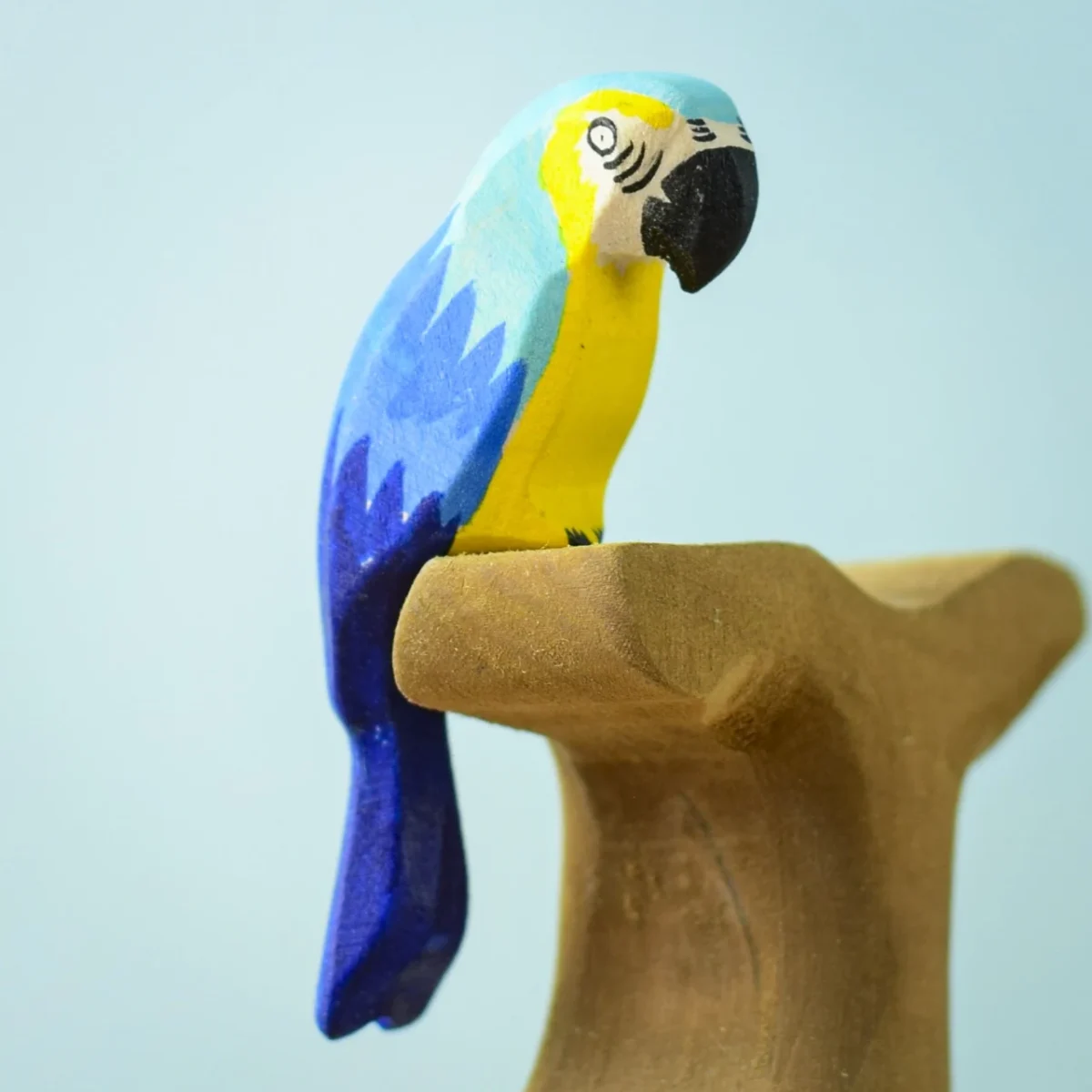 Bumbu Blue Macaw Parrot