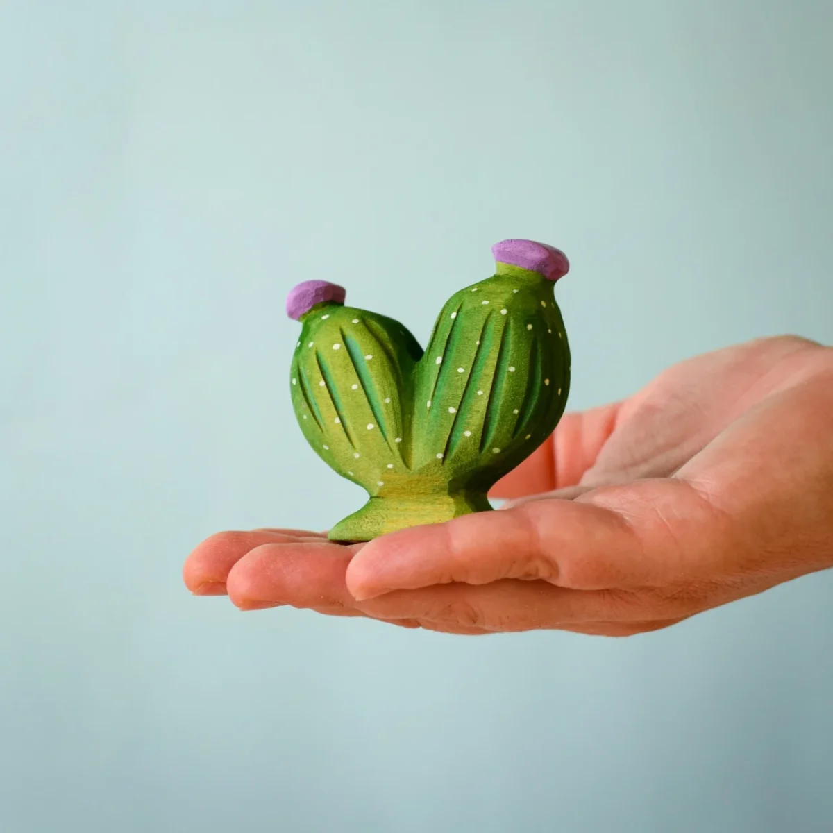 Pin cushion cactus Bumbu