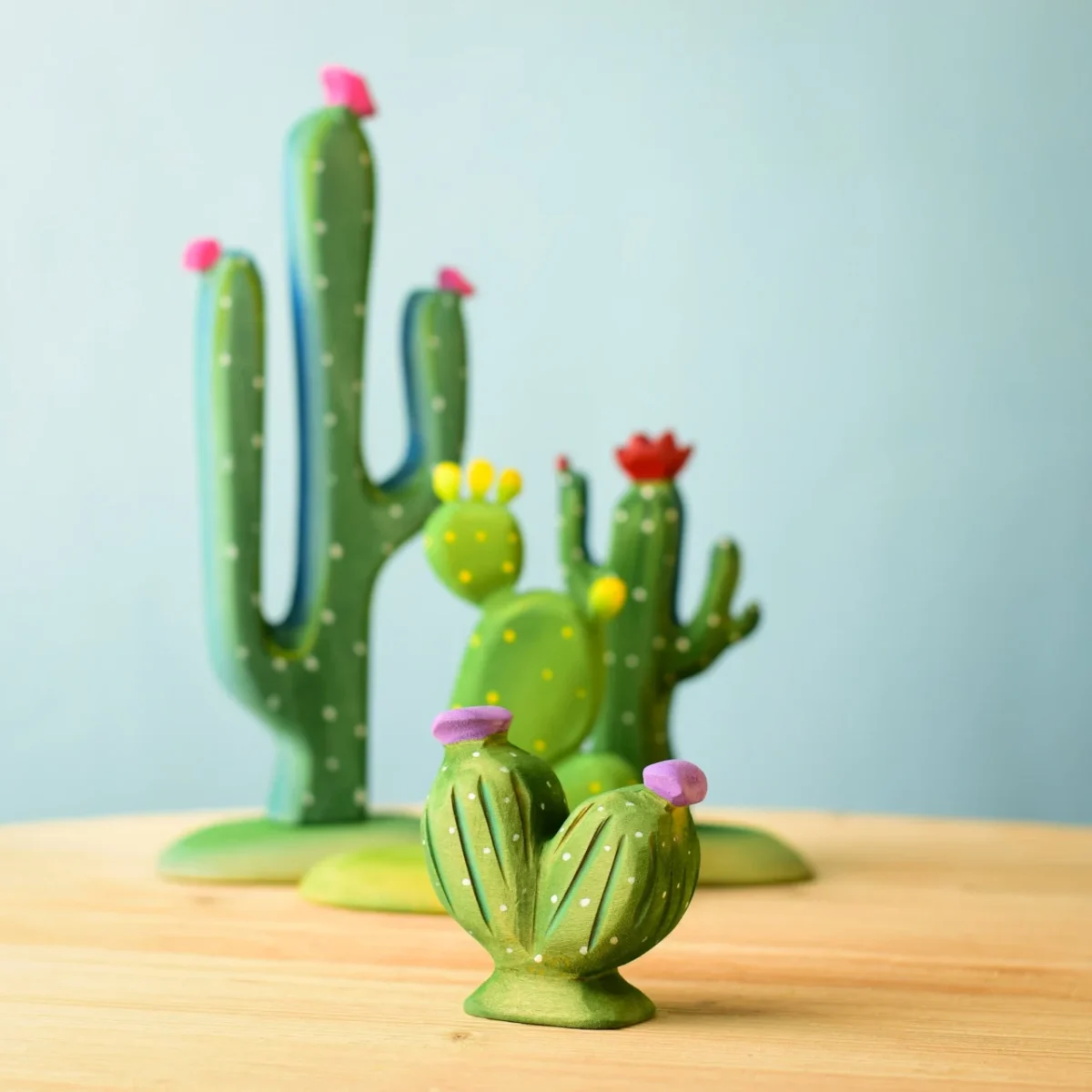 Pin cushion cactus Bumbu