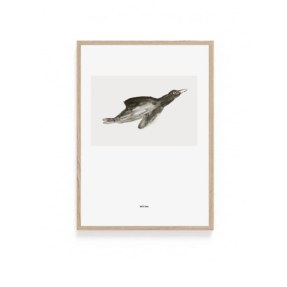 900 Bird2.jpg