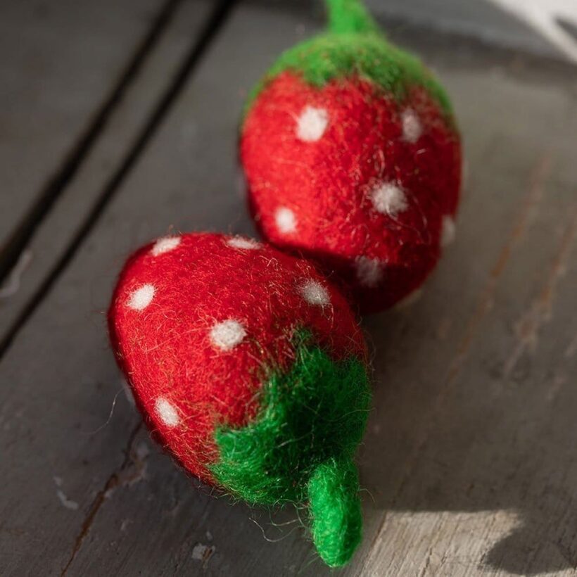 Fraise 1.jpg Fraise 1.jpg