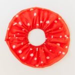 Mushroom Collection 4.jpg