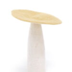 Mushrooms E Xl W.jpg