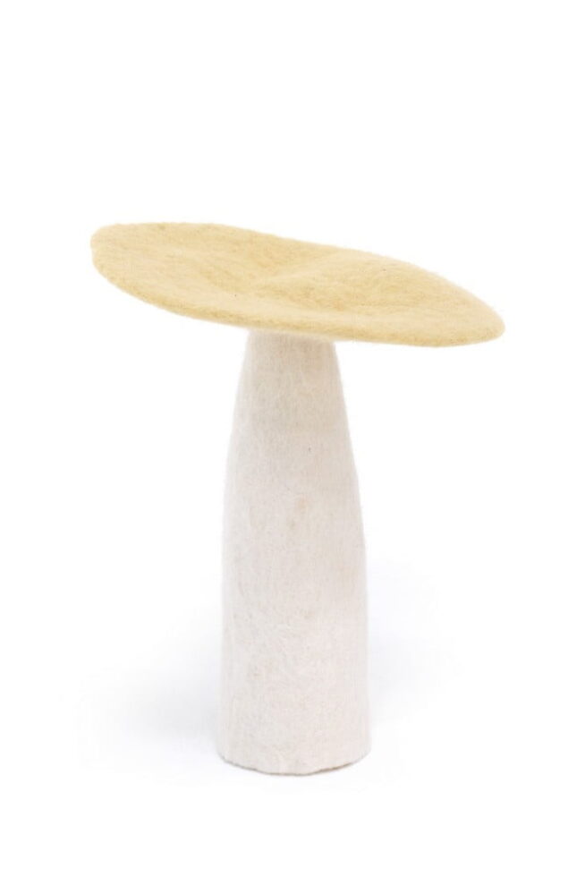 Mushrooms E Xl W.jpg