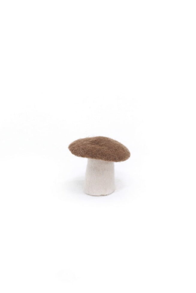 Mushrooms E S.jpg