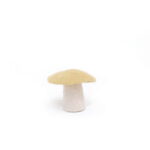 Mushrooms E S W.jpg