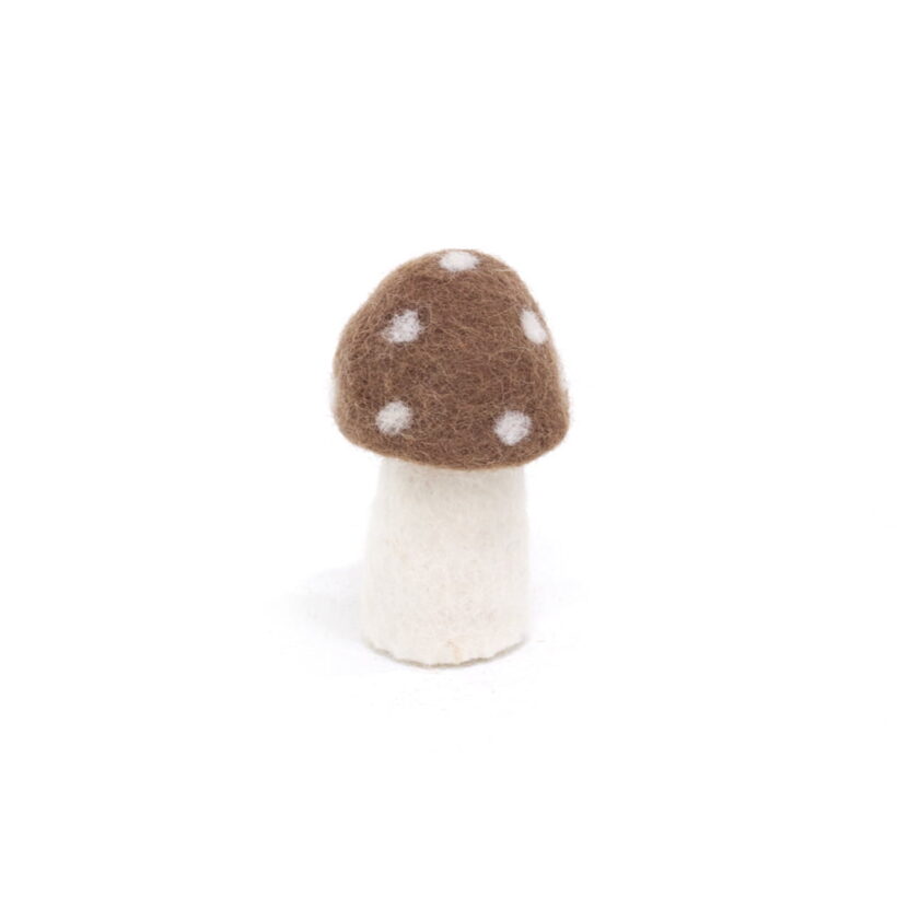 Dotty Brown Small.jpg