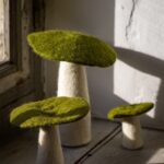 Mushroom Set Of 5 1.jpg