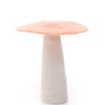 Mushroom Set Of 5 2.jpg