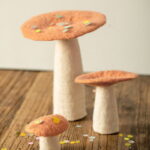 Mushroom Set Of 5 3.jpg