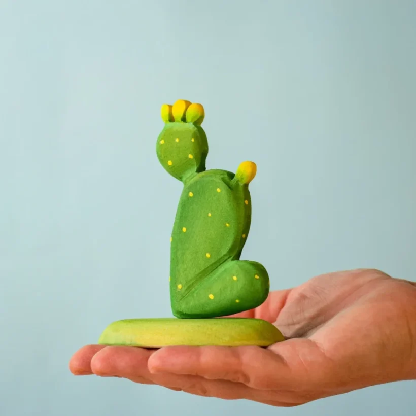 Prickly Pear Cactus7009 E1721822320428.webp Prickly Pear Cactus7009 E1721822320428.webp