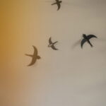 Swallows Set Of 10 1.jpg