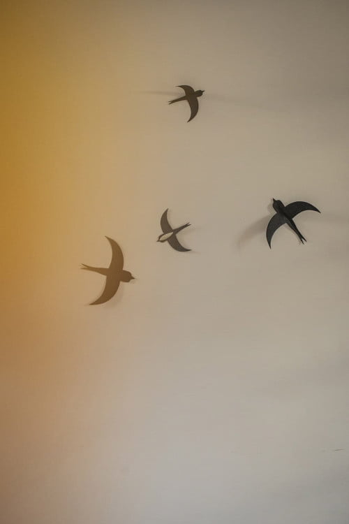 Swallows Set Of 10 1.jpg