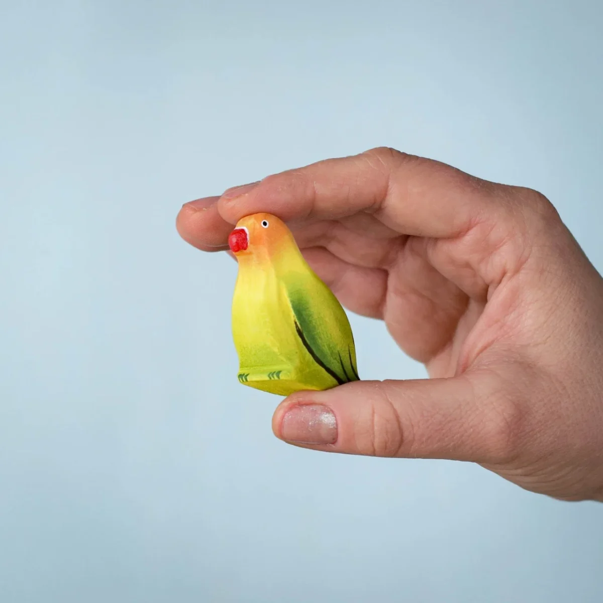 Green Lovebird