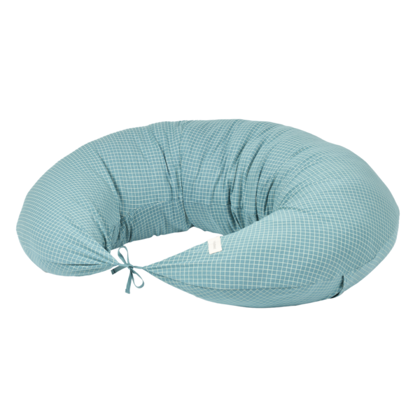 Maternity Pillow Stories Limited Edition (1)