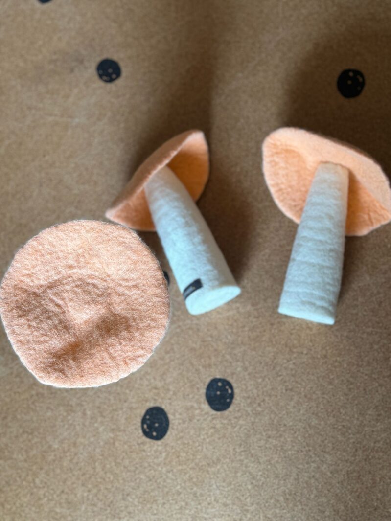 סאמפלים מאי 25 (21)