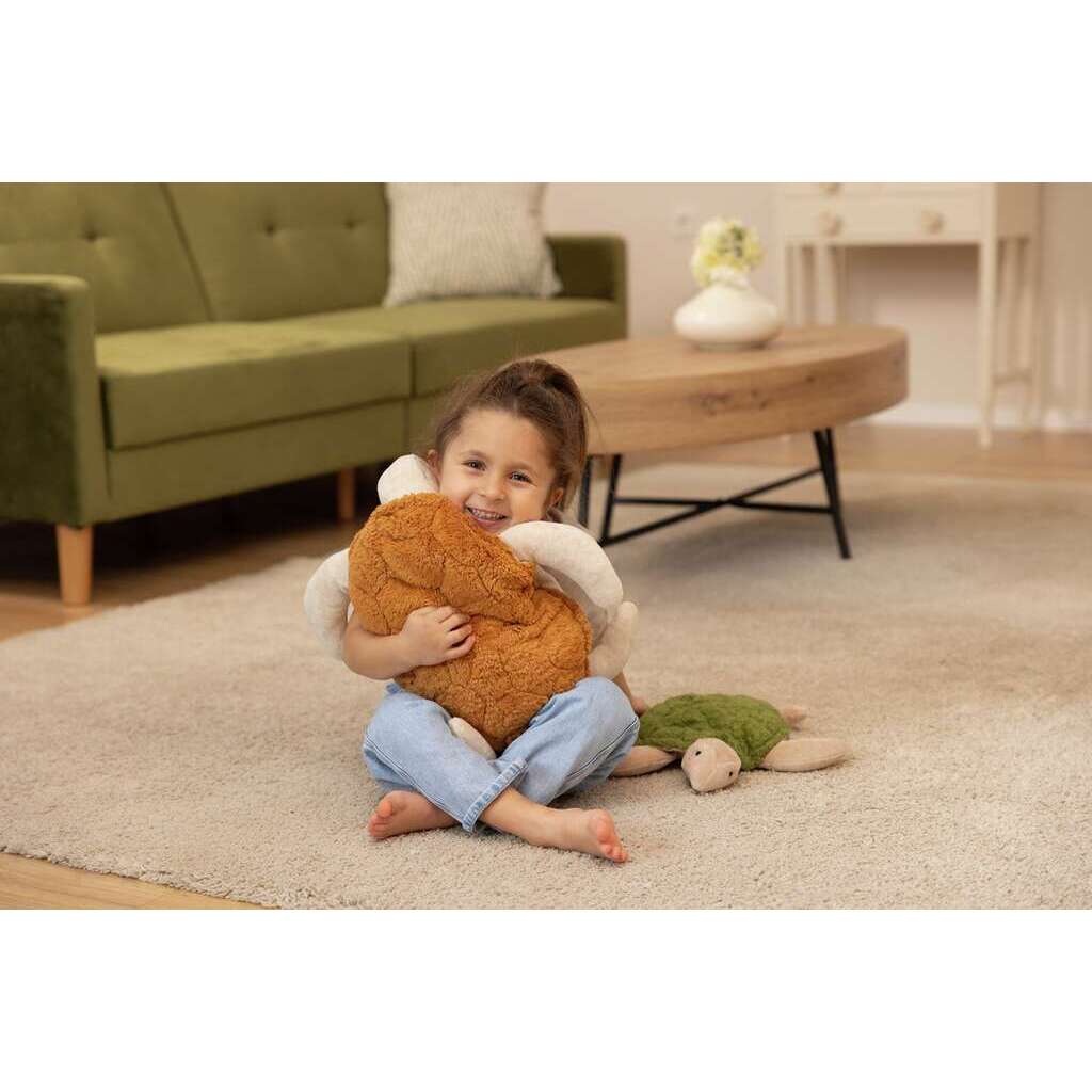 Small Turtle Cuddly Toy2