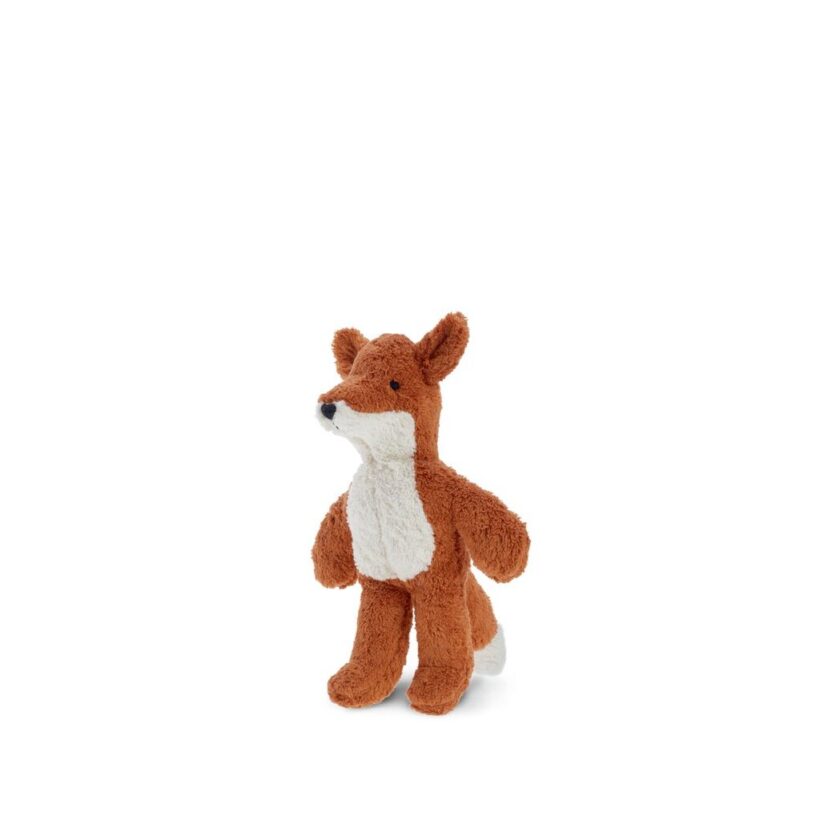 Baby Fox