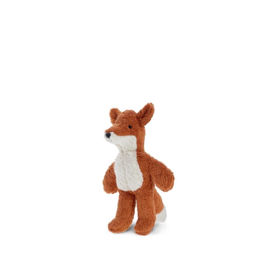 Baby Fox