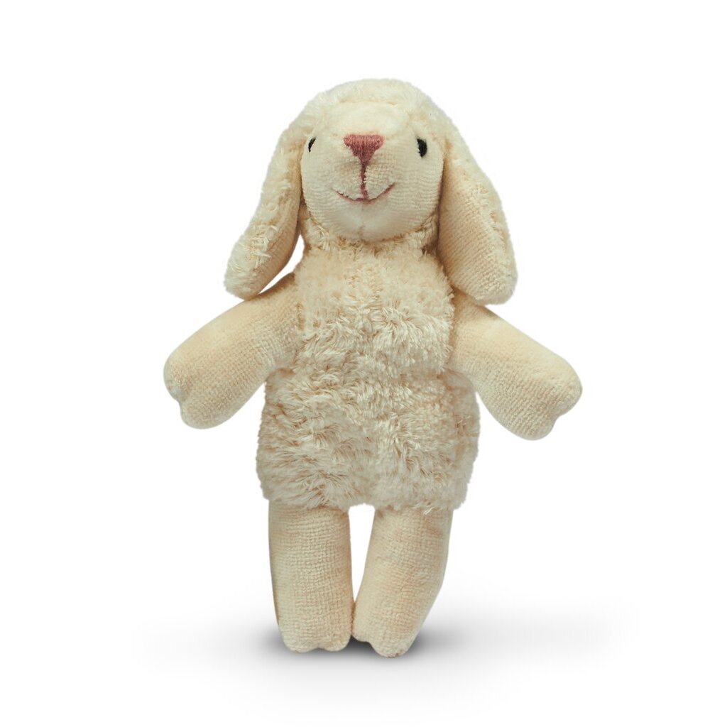 Baby Sheep