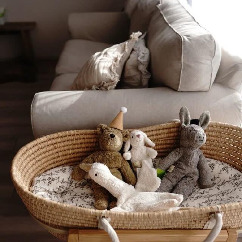 Baby Sheep1