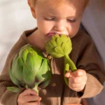 Artichoke Rattle Toy1