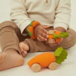Cathy The Carrot Baby Car Toy1