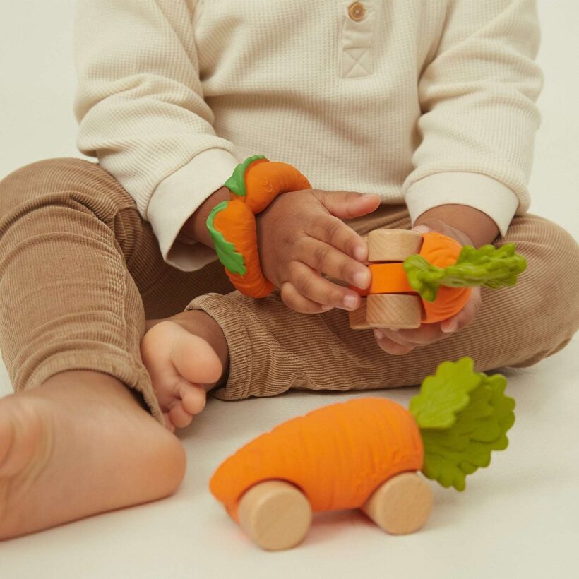 Cathy The Carrot Baby Car Toy1