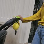 Lemon 4