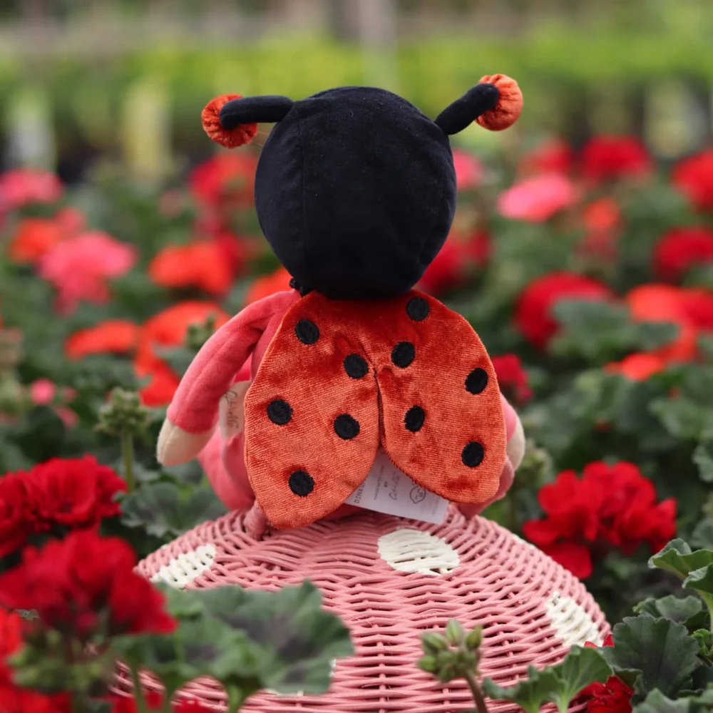Lola Ladybug1