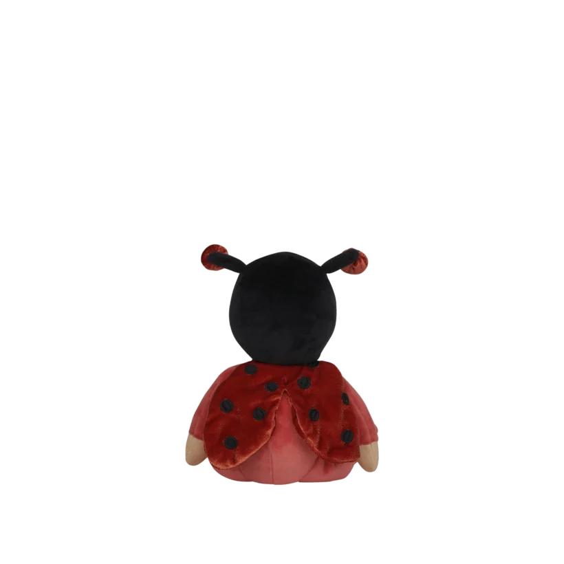 Lola Ladybug2