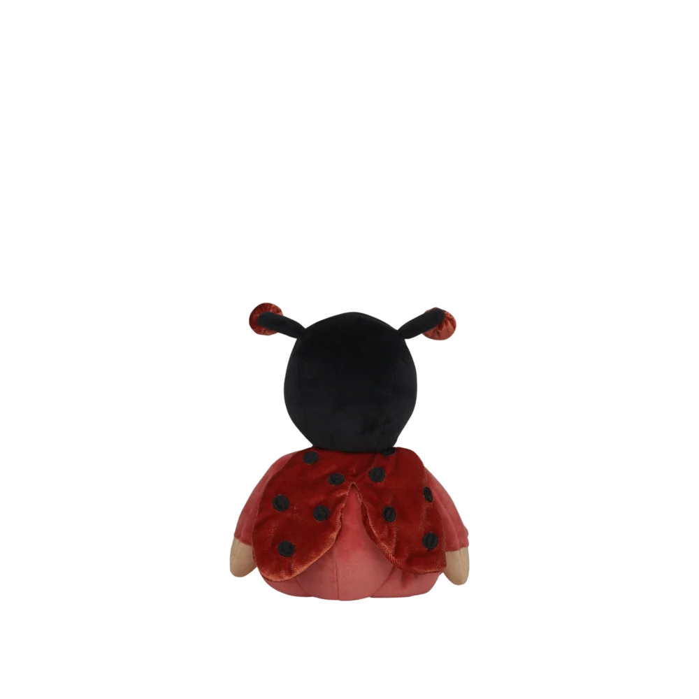 Lola Ladybug2