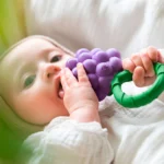 Grape1.1 84734f61 374c 48fb 8934 E620aac5a9b7