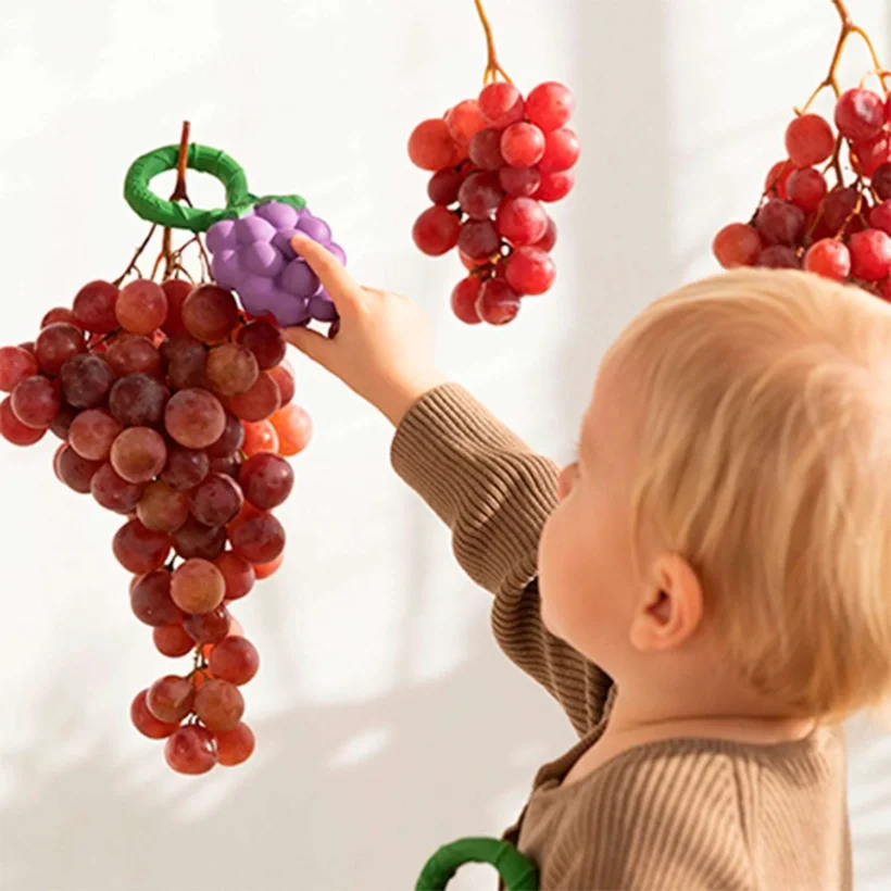Grape2.2 A5ec705c Cd7a 4abe Aea7 9da568a7c4c0