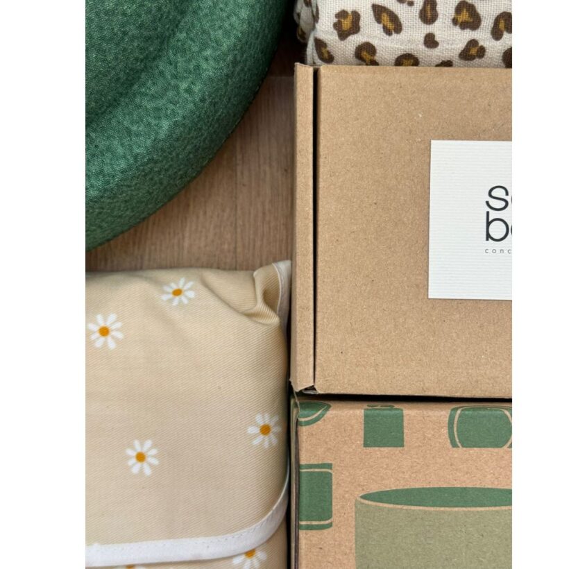 קופסת הפתעות 2