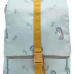 Fb1409 Misty Blue Extra 2 Fb1409 Misty Blue Extra 2