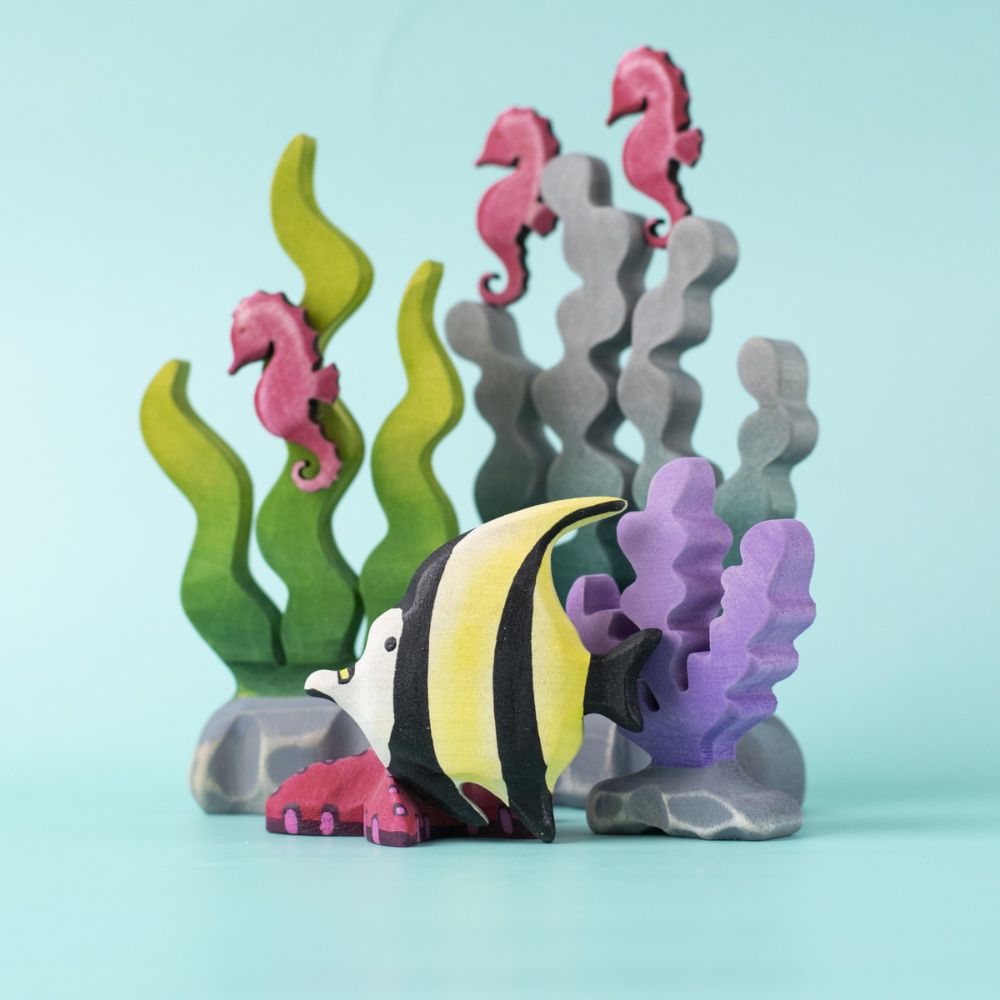Tropical Fish (1)