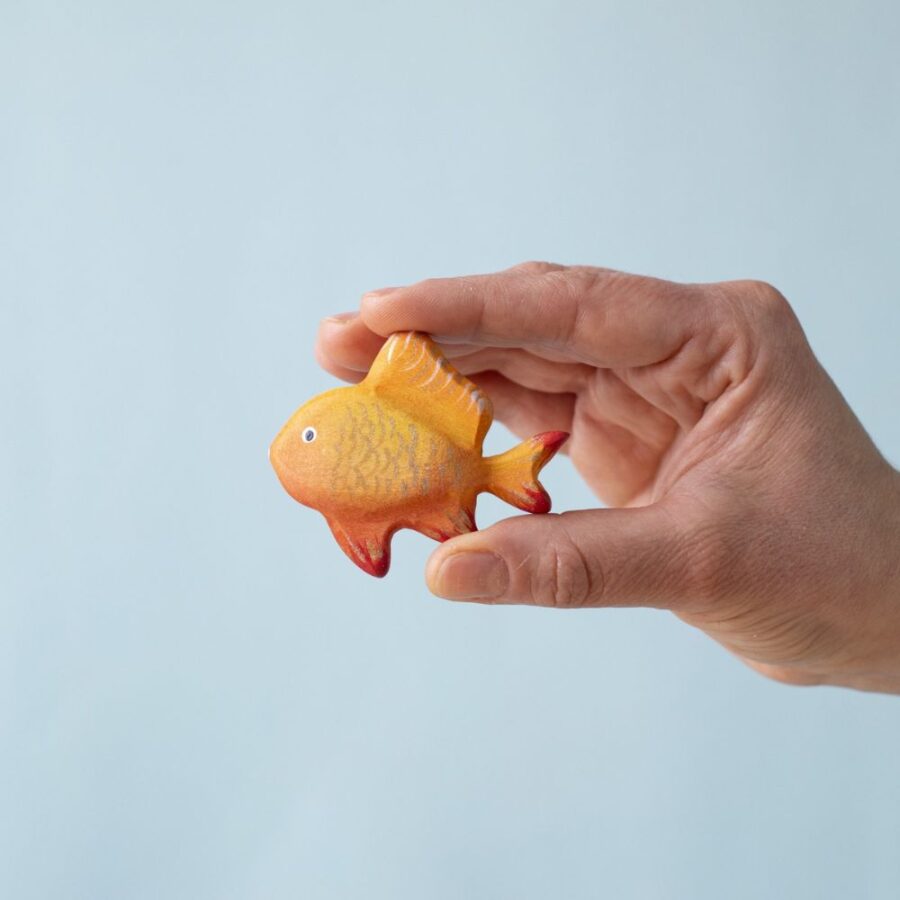 Tropical Fish (11)