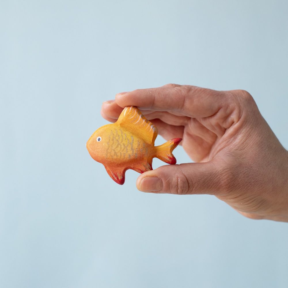 Tropical Fish (11)