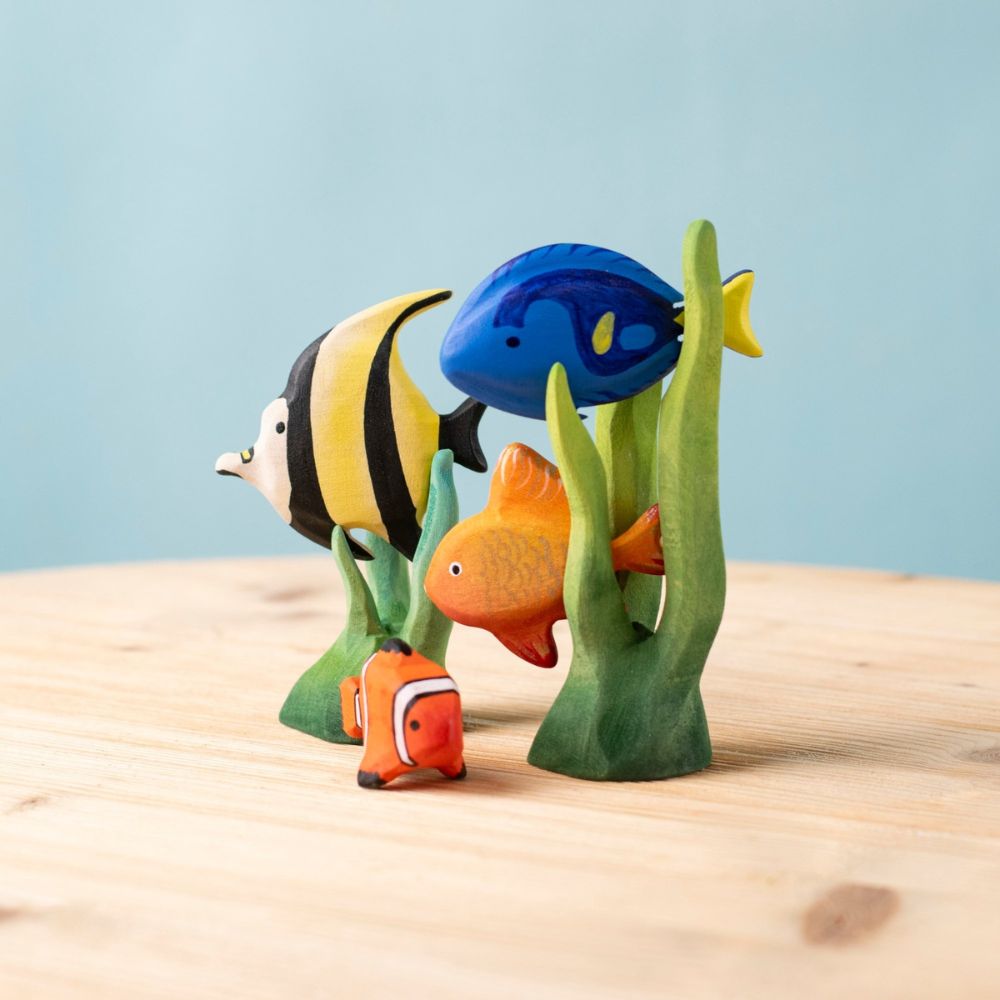 Tropical Fish (3)