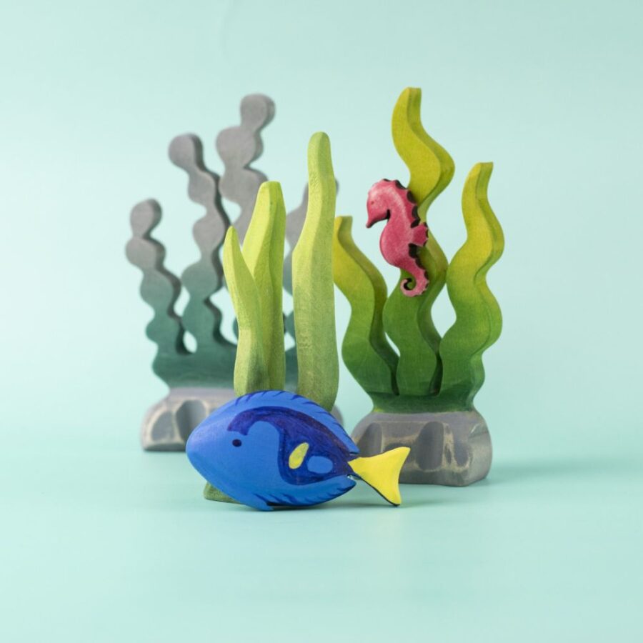 Tropical Fish (4)