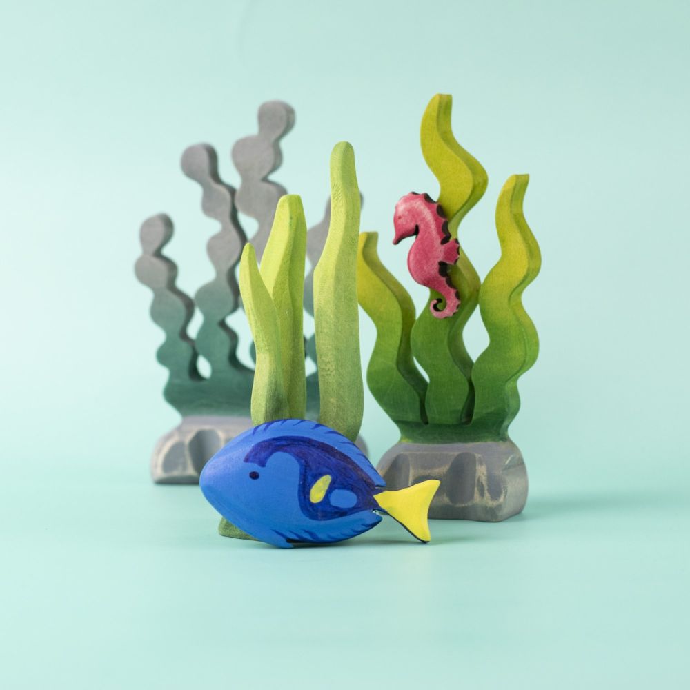 Tropical Fish (4)