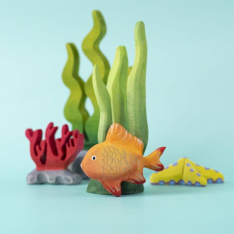 Tropical Fish (6)